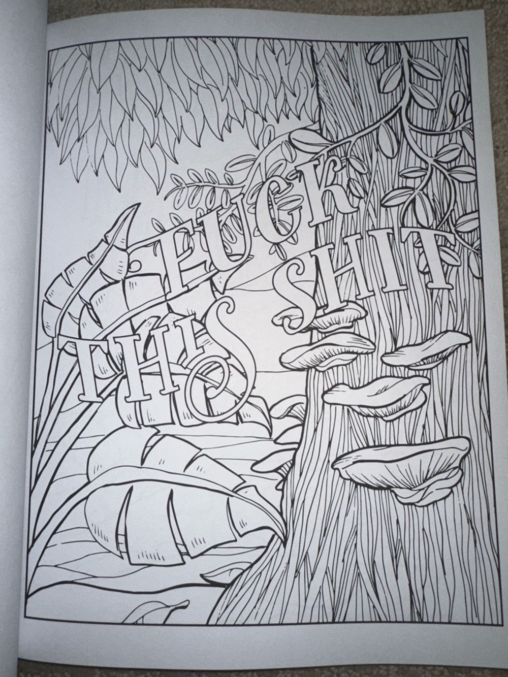 🆕 Swear Word Coloring Book - Picture 3 of 6